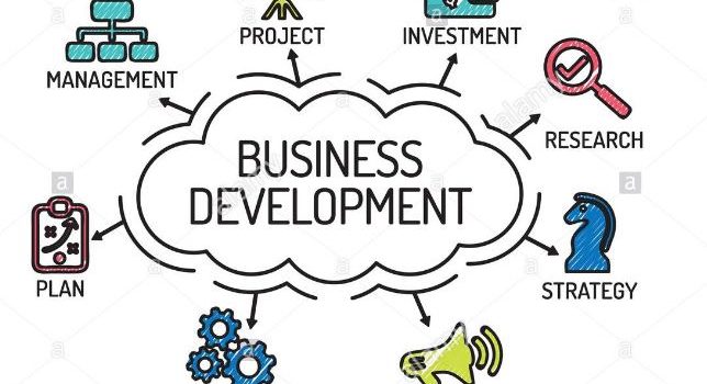 Desenvolvimento de Negócios
